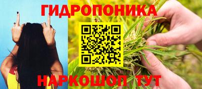шишки Старая Купавна