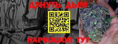 Альфа ПВП Сланцы